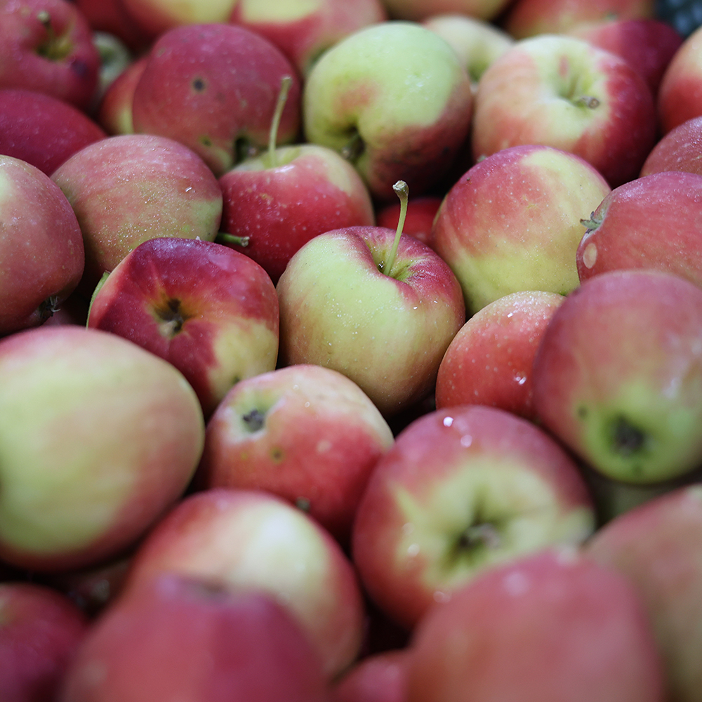 [선물박스포장] 경북 영천 미니사과 루비에스 사과 2kg