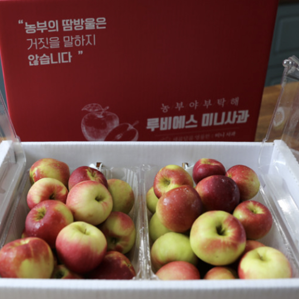 [선물박스포장] 경북 영천 미니사과 루비에스 사과 2kg