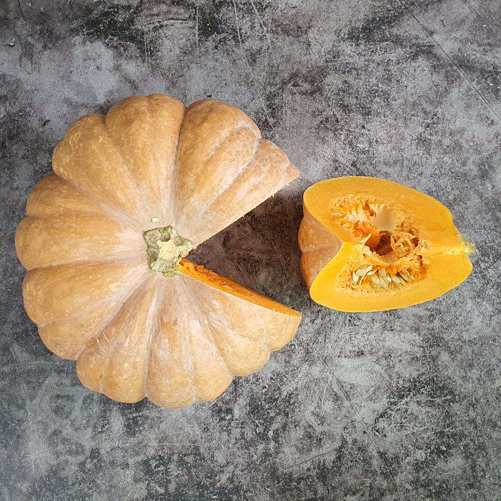 햇 수확 신선하고 잘 익은 국산 늙은호박 3~7kg