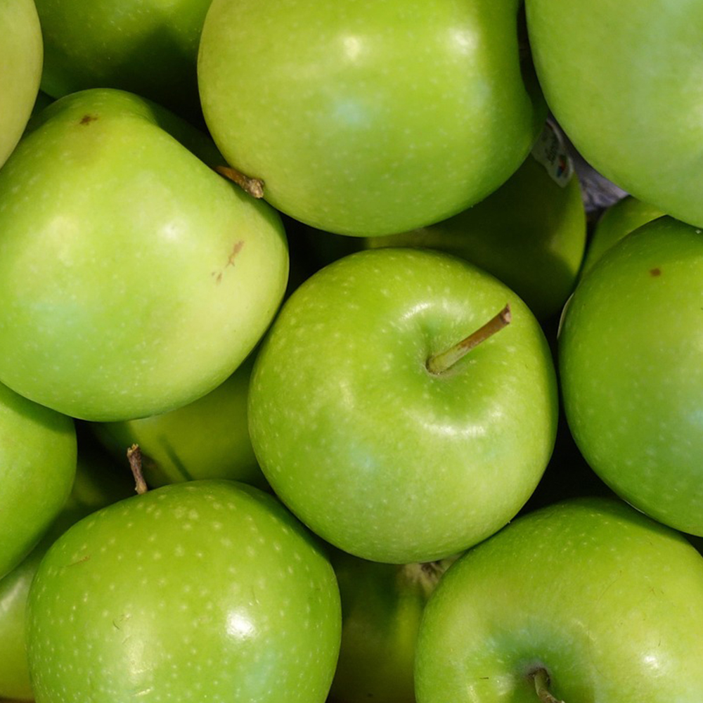 [GB] 국내산 아오리사과 가정용 기스과