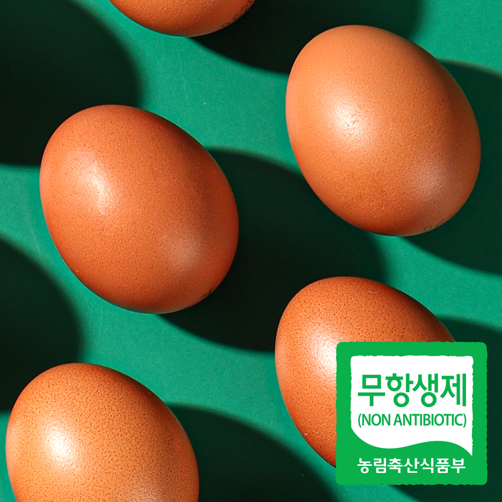 청라상회 무항생제 구운계란 맥반석계란 중란 20구 40구 HACCP 햇썹 인증 안심포장