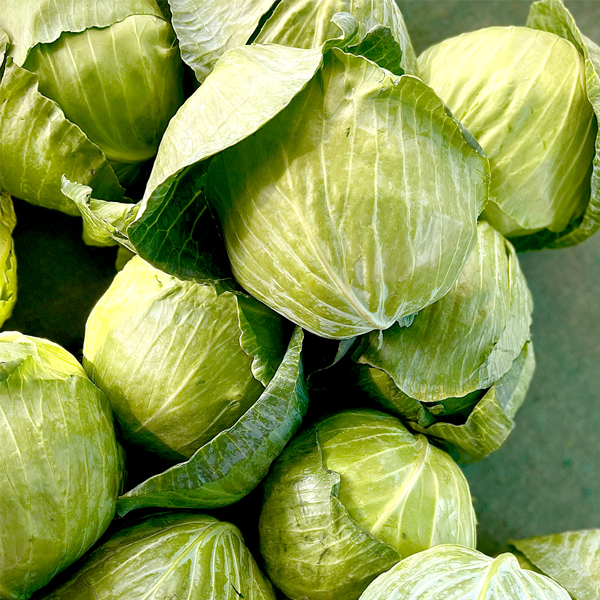 [참마루] 친환경 무농약 양배추 2kg(1~2개) 외 2종