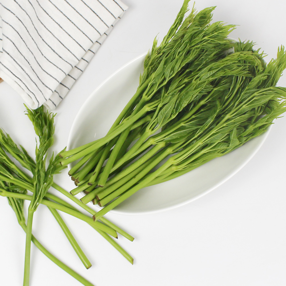 25년산 서산농부의 여름두릅 500g / 1kg / 2kg 가시없는두릅 새순