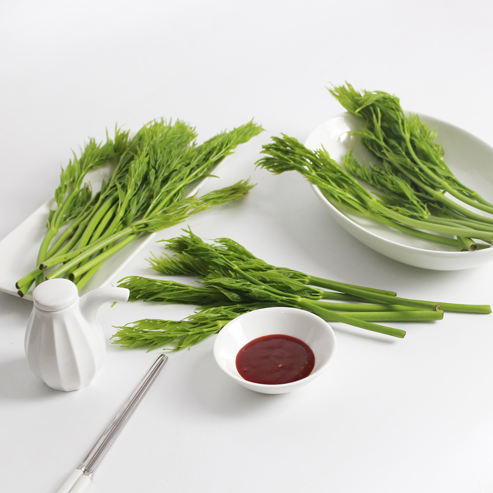 25년산 서산농부의 여름두릅 500g / 1kg / 2kg 가시없는두릅 새순