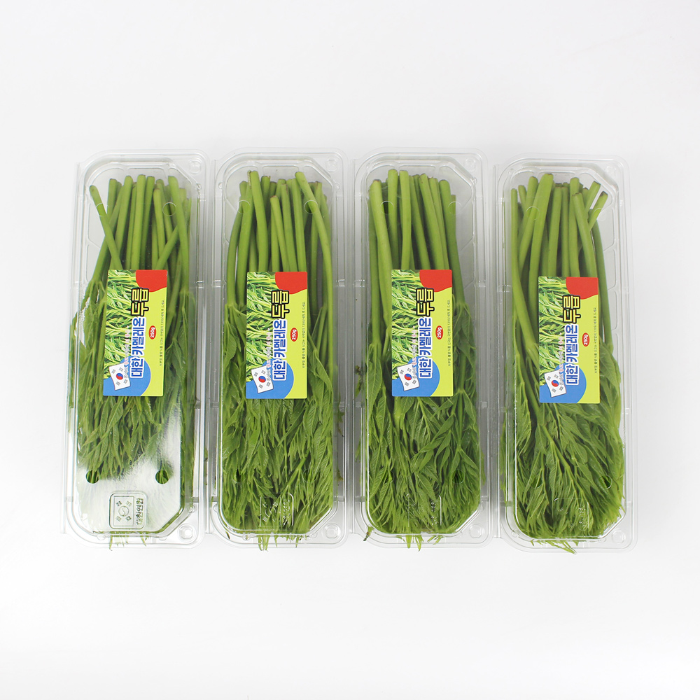 25년산 서산농부의 여름두릅 500g / 1kg / 2kg 가시없는두릅 새순