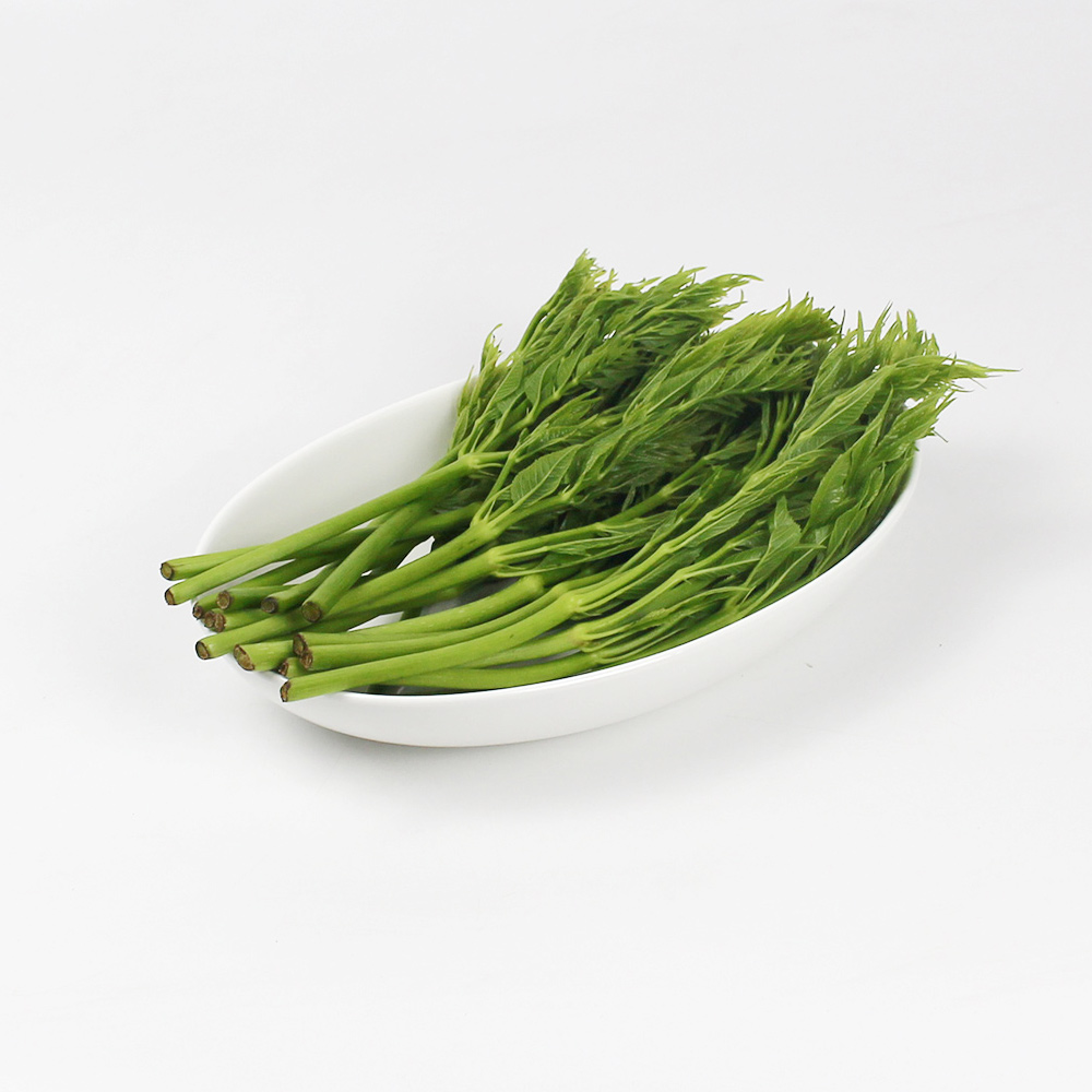25년산 서산농부의 여름두릅 500g / 1kg / 2kg 가시없는두릅 새순 대표이미지 섬네일