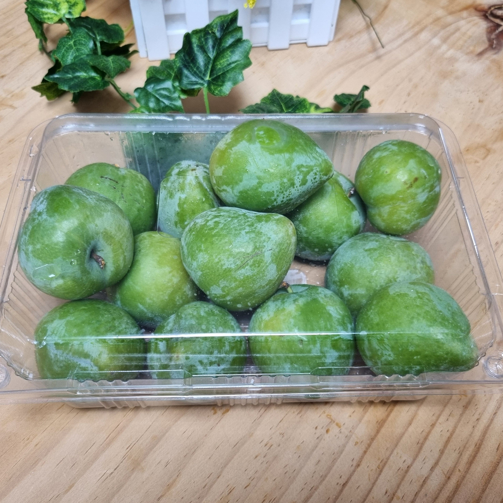 당도높고 달콤한 청자두 켈시자두 1kg 2kg