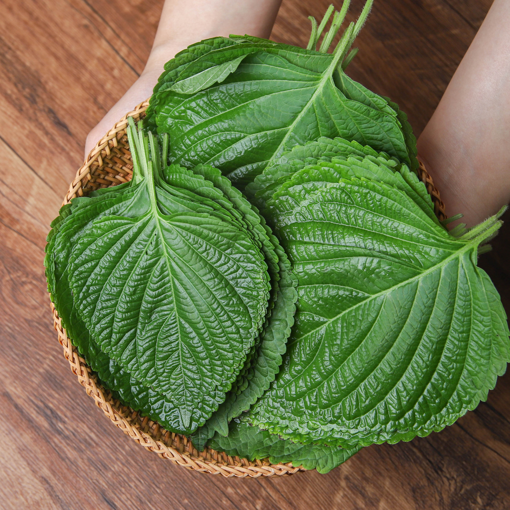 밀양 찹찹이 깻잎 500g 1kg