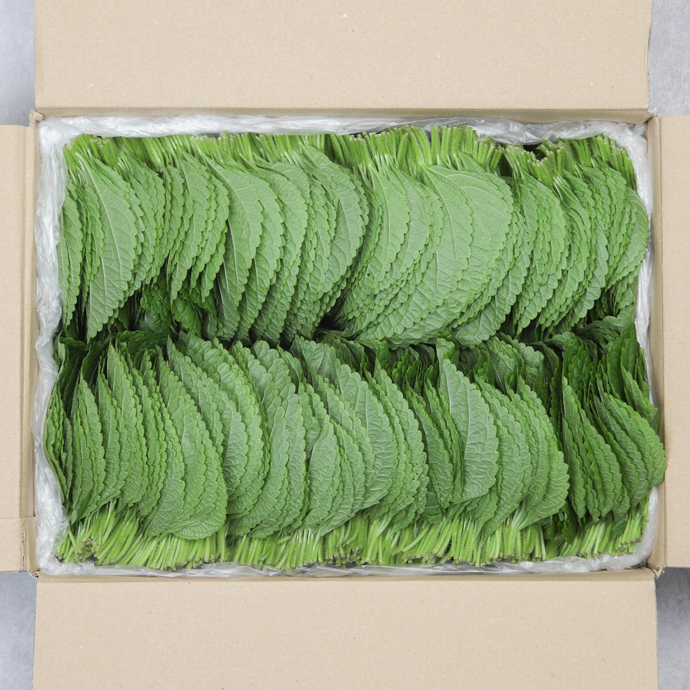 밀양 찹찹이 깻잎 500g 1kg