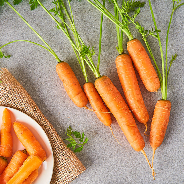[당근최고] 앙증 스낵 당근 500g ~ 3kg 사이즈 혼합