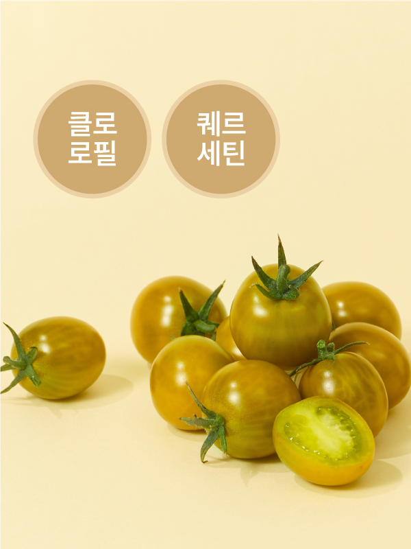 비채 골드톡(500g)