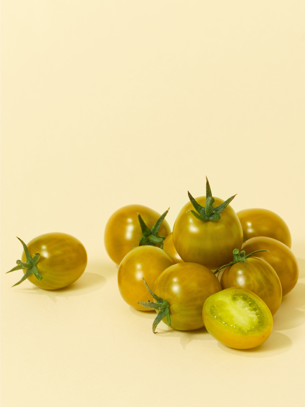 비채 골드톡(500g)