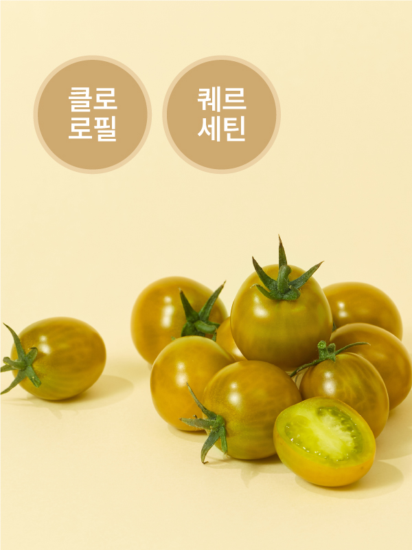 비채 골드톡(500g)