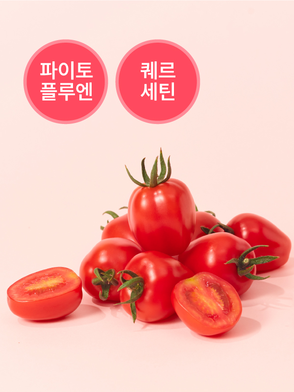 비채 레드톡(500g)