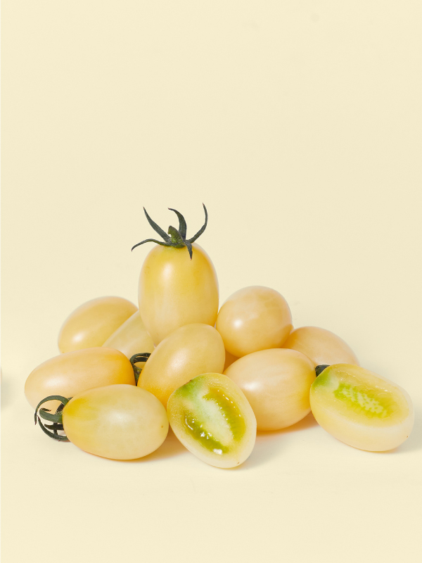 비채 화이트톡(500g)