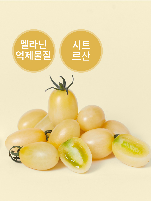 비채 화이트톡(500g)