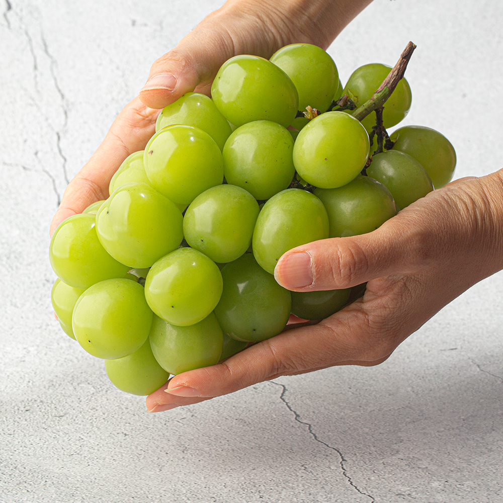 제철진미 고당도 햇 샤인머스캣 가정용 2kg (4-5수) 산지직송 대표이미지 섬네일