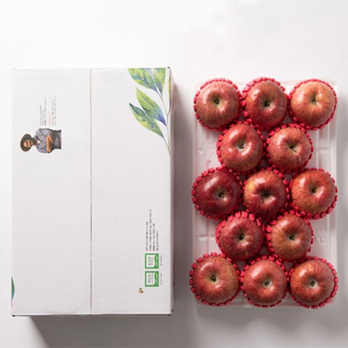 제철진미 저탄소인증 장수사과 선물세트 산지직송 3kg 5kg