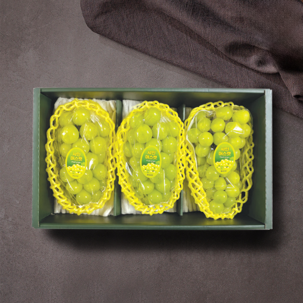 제철진미 저탄소인증 고당도 햇 샤인머스캣 선물세트 2kg (3수) 산지직송 대표이미지 섬네일