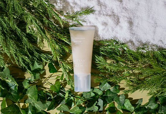 [반값특가] 정직한실험실 보타닉 어성초 티트리 솔트 스케일러 대표이미지 섬네일