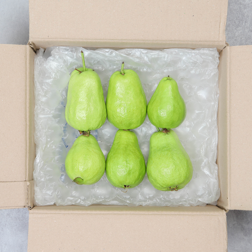 구아바 생과 500g 1kg