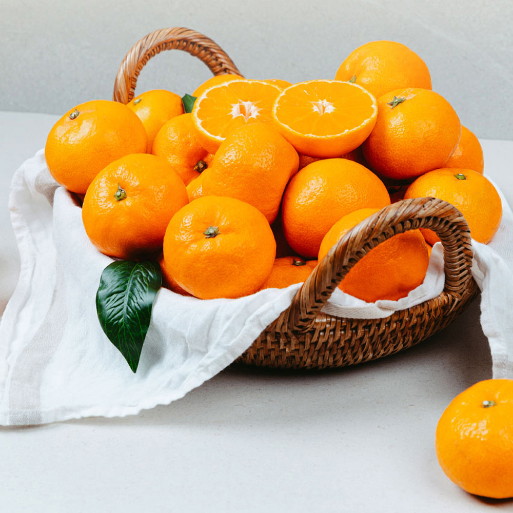 산지직송 탱글한 꿀맛 제주 하우스 감귤 2kg 3kg 5kg 대표이미지 섬네일