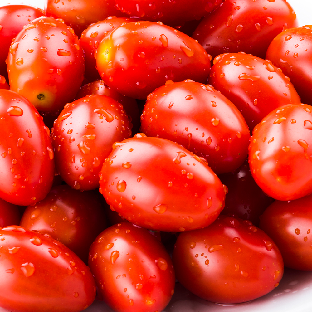 산지직송 톡톡 터지는 달콤한 대추 방울토마토 1kg 2kg 5kg