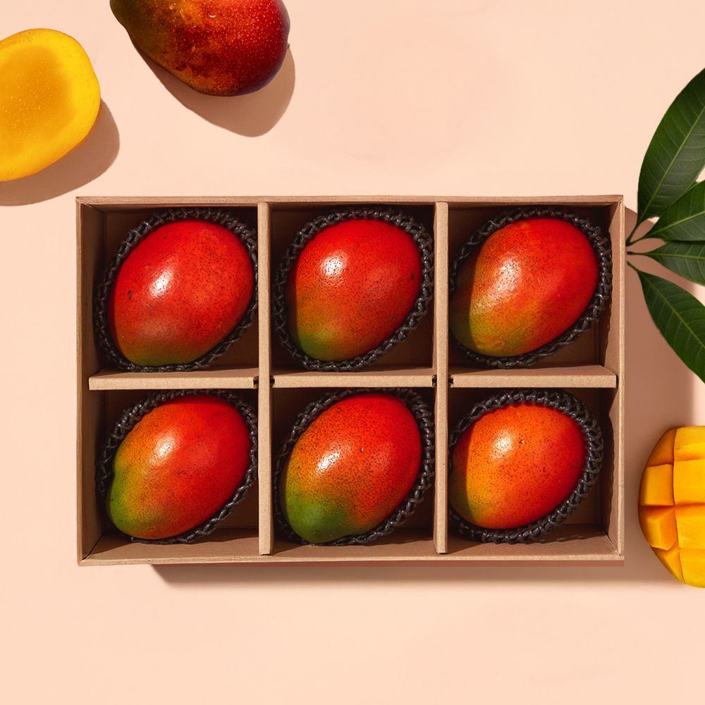 애플망고 선물세트 (수입) 6입 9입 과일 명절 추석 설날 연말