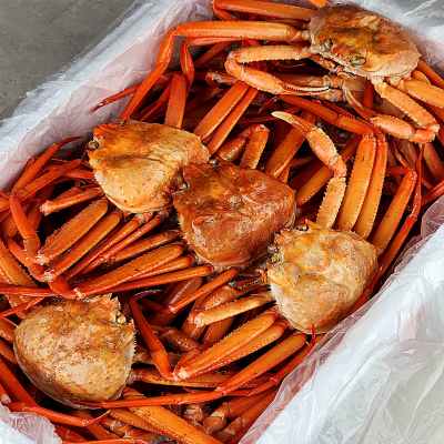 산지직송 구룡포 연지홍게 홍게제철 실속 가성비 3kg (10-12미)