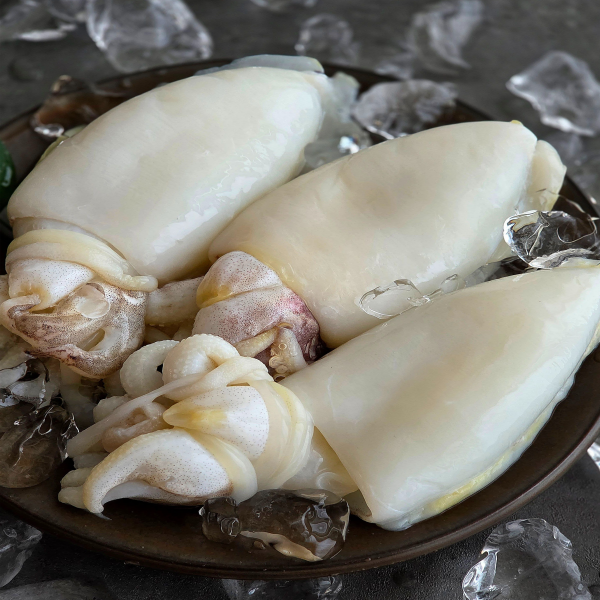 완벽손질 두툼 신선 갑오징어 개별진공 3미 800~1kg