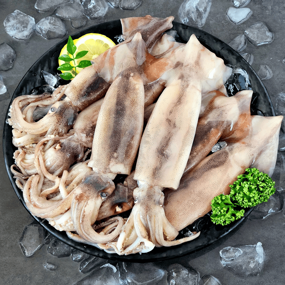 자연산 채낚기 생물 오징어 급냉 통찜오징어 5-8미 1kg