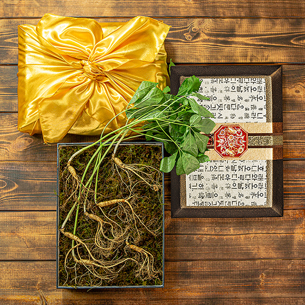 리얼삼 100년 더 약초 강원도 토종 VVIP 산양삼 산양산삼 선물세트