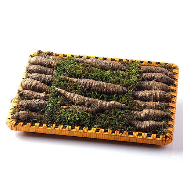 소문난 리얼 맛집 수삼 100년 더 약초 금산 수삼 / 더덕 VVIP 선물세트