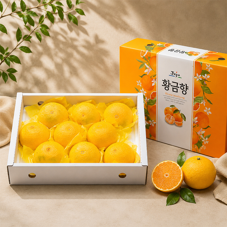 서귀포 하례마을 황금향 실속형/선물용 (제주직송)