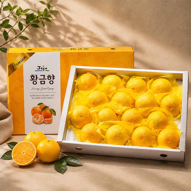 서귀포 하례마을 황금향 실속형/선물용 (제주직송)