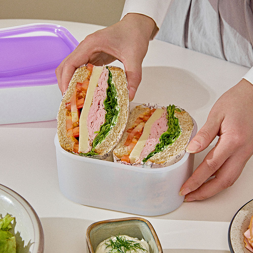 [플렉스앤락] 실리콘 밀폐용기 실프리저 대형 혼합 4종