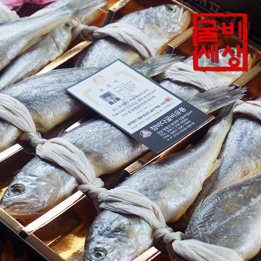 영광 법성포 굴비 세트 실속(진공/20미/1.3kg내외)