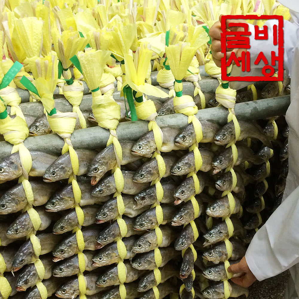 영광 법성포 굴비 세트 실속(진공/20미/1.3kg내외)
