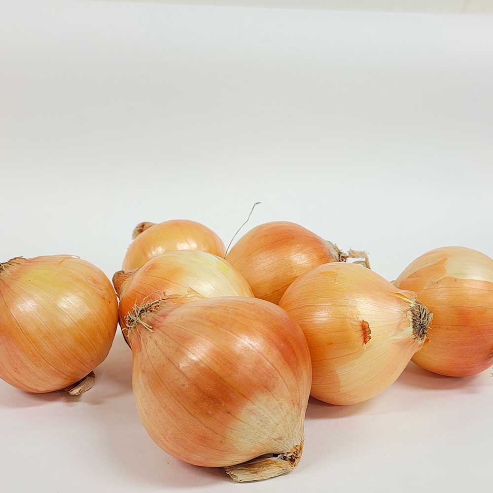 친환경 무농약 양파 1~3kg