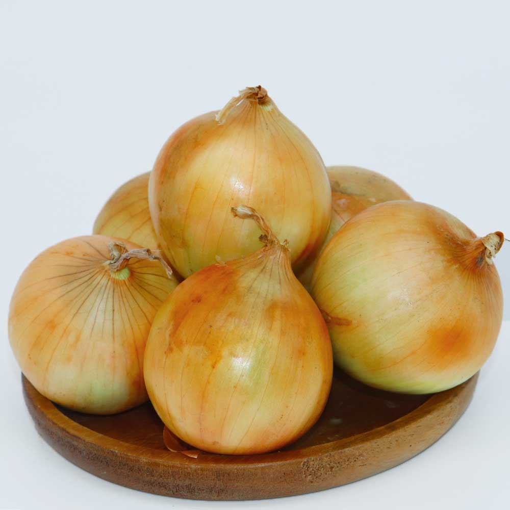 친환경 무농약 양파 1~3kg