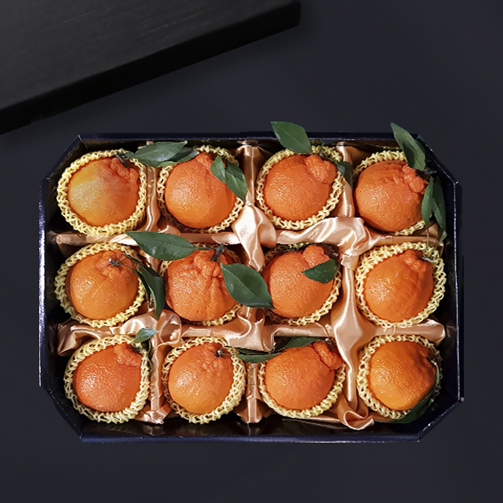 [브라이트데이] 스페셜 명품 과일 선물세트 모음전