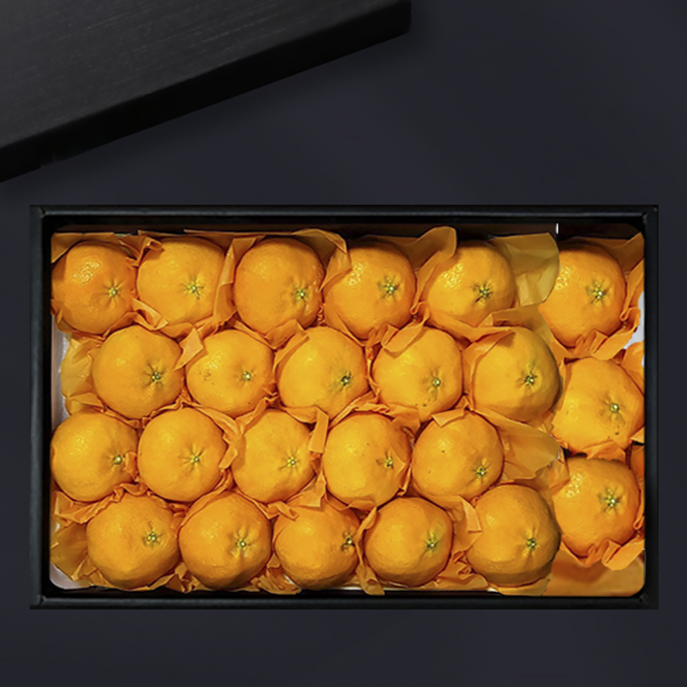 [브라이트데이] 스페셜 명품 과일 선물세트 모음전