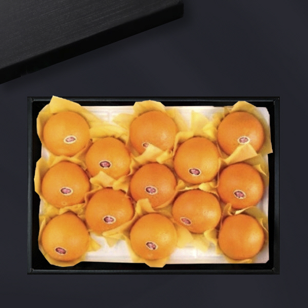 [브라이트데이] 스페셜 명품 과일 선물세트 모음전