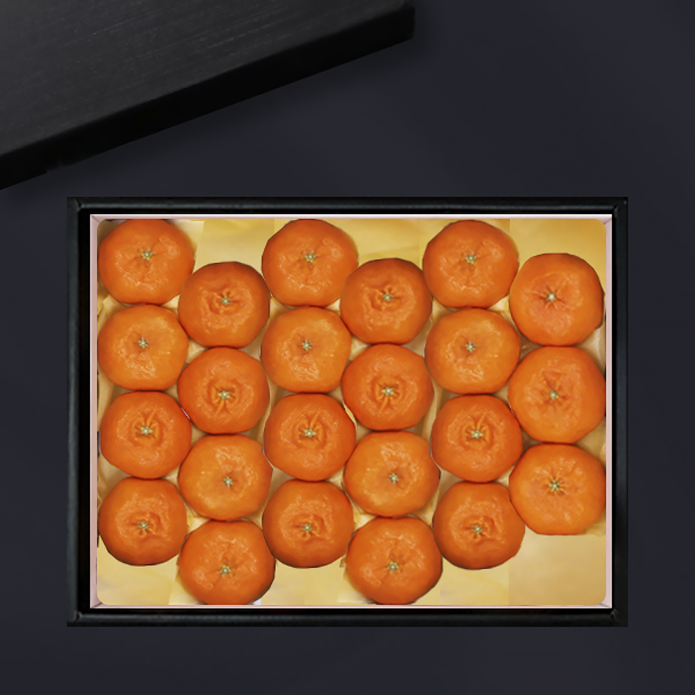 [브라이트데이] 스페셜 명품 과일 선물세트 모음전