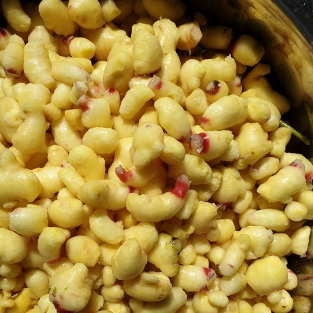 도라지미 생강청 수제 국산 생강 진액청 500g