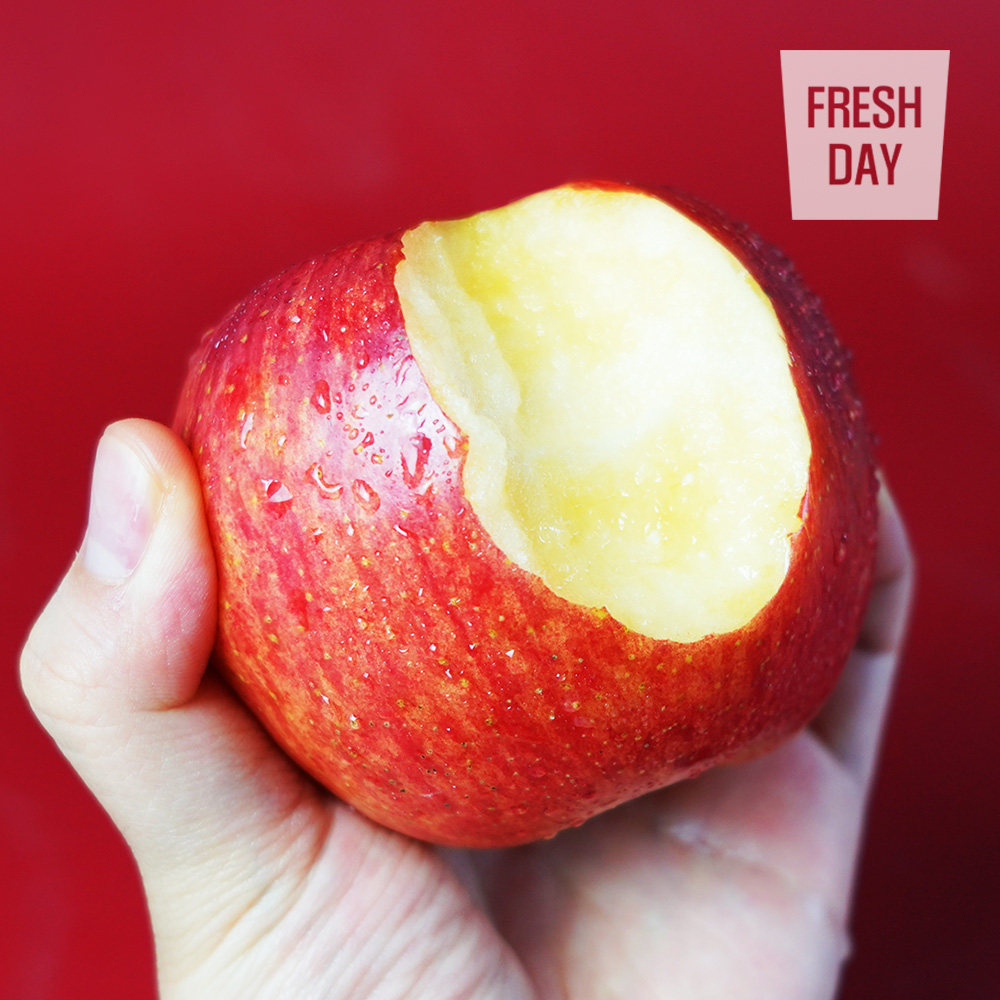 프리미엄 영주 꿀 사과 선물세트 특1호 (9~11과)