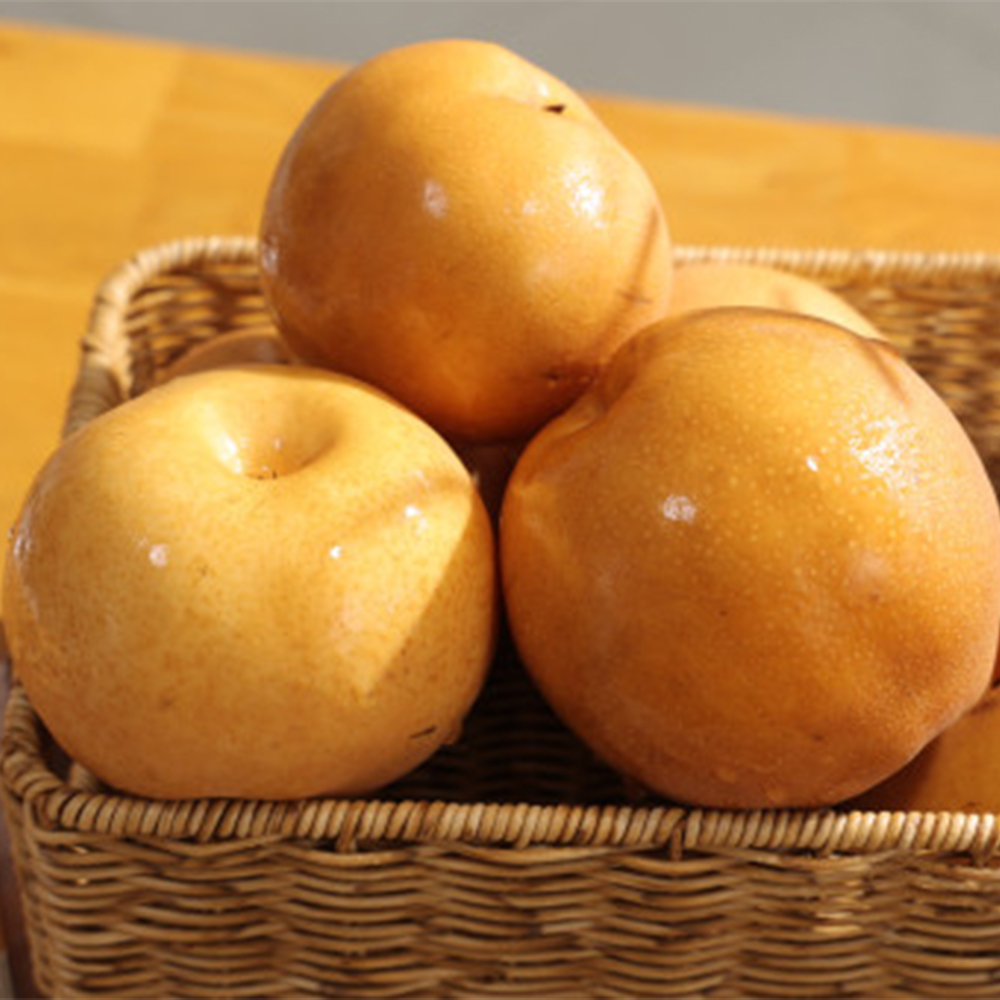 자연그대로 배도라지즙 100ml x 100팩+10팩(총 110팩)