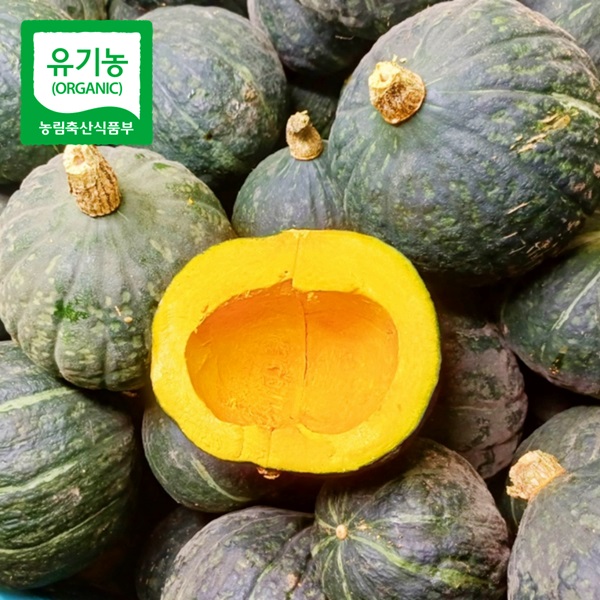 강원도 홍천 유기농 단호박 밤호박 4kg 5kg 6kg