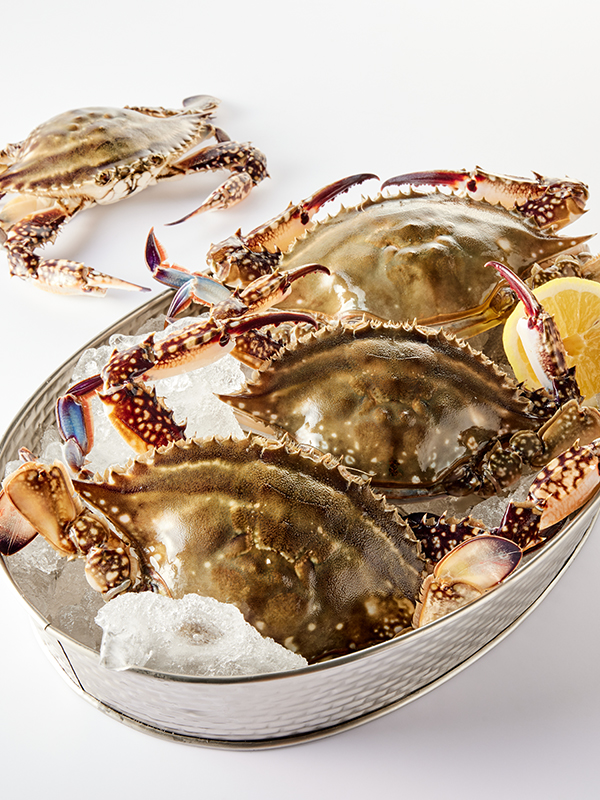 신진도 가을 햇꽃게 1kg (3-4미/빙장포장)