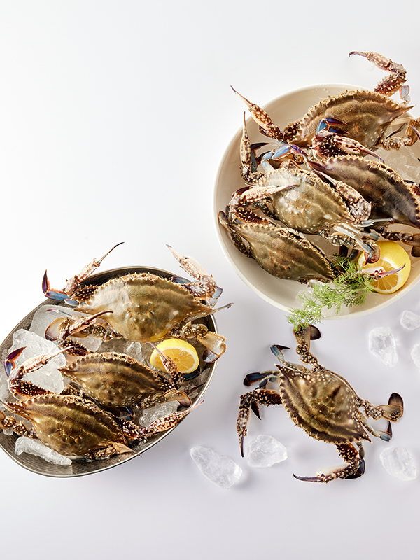 신진도 가을 햇꽃게 1kg (3-4미/빙장포장)